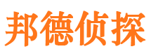 卧龙市调查公司